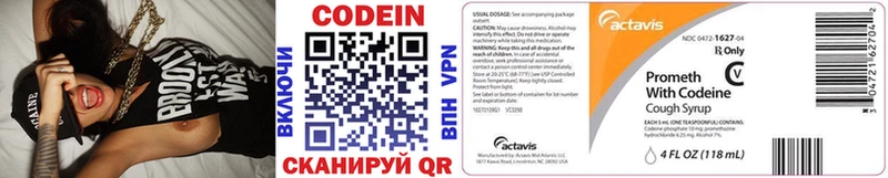 где найти наркотики  Минусинск  Codein Purple Drank 