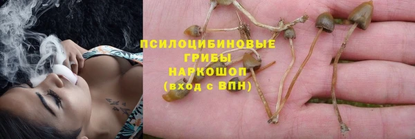 a pvp Бугульма