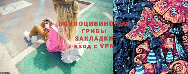 соль курить ск Бородино