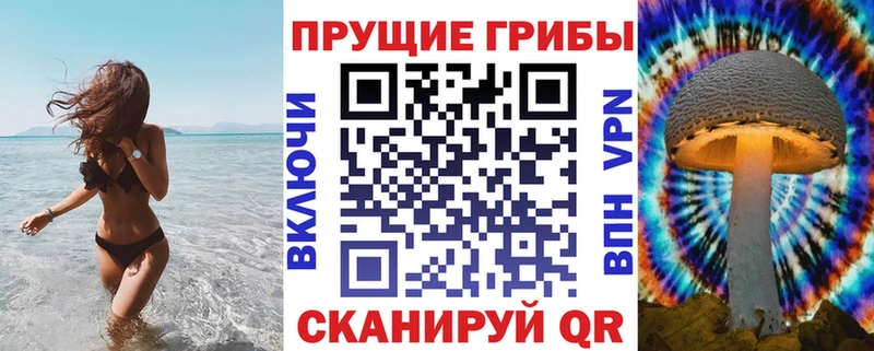 что такое   Минусинск  Псилоцибиновые грибы Psilocybine cubensis 